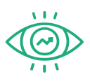 Vision Icon